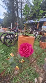 Tumba Sisli Vadi