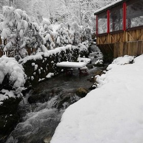 Yesil Dus Vadisi Bungalow Restoran