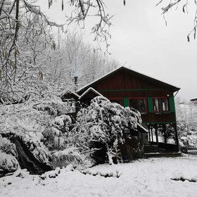 Yesil Dus Vadisi Bungalow Restoran
