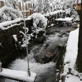 Yesil Dus Vadisi Bungalow Restoran
