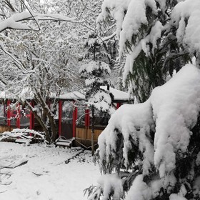 Yesil Dus Vadisi Bungalow Restoran