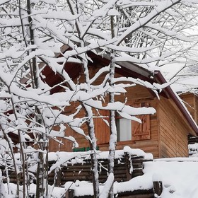 Yesil Dus Vadisi Bungalow Restoran