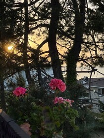 Lalezar Sea & Garden Hotel