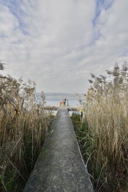 Beta Home Lake House