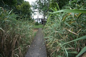Beta Home Lake House