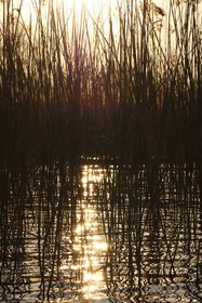 Beta Home Lake House
