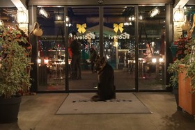 Gölevi Resort Sapanca