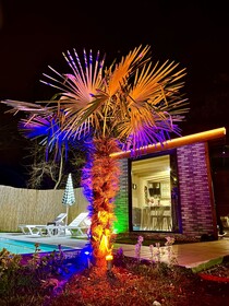 Sapanca Dream Houses 2