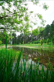 Woodlodge Country Sapanca