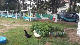 Tilbe Otel