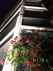 No 57 Suites