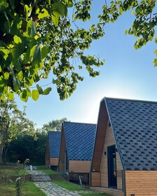 Queen City Hotel And Bungalov