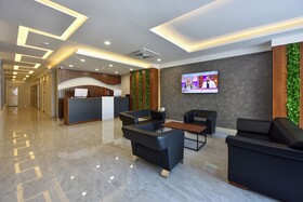 Sunflower Suites