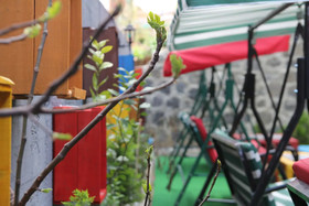 Trabzon Holiday Homes and Villas