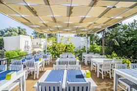 Bitez Paloma Family Club