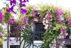 Orion Hotel