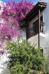 Orion Hotel