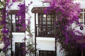 Orion Hotel