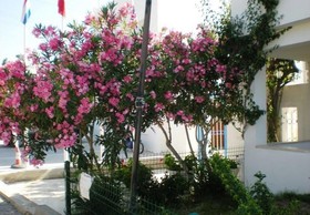 Regal Hotel