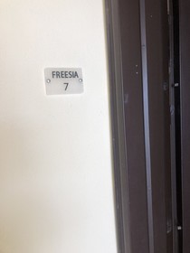 Flamingo Country Club