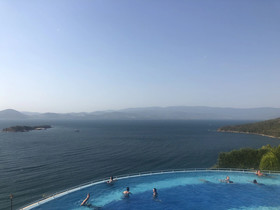 Flamingo Country Club