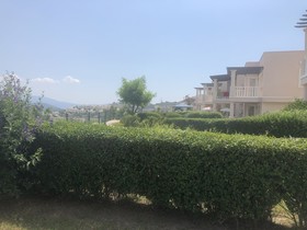 Flamingo Country Club