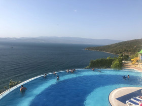 Flamingo Country Club