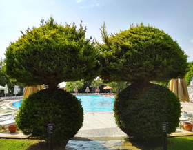 Lakeside Garden Holiday Village