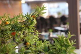 7. Art Feslegen Hotel