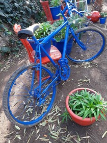 Ali’s Hotel Restaurant Beach