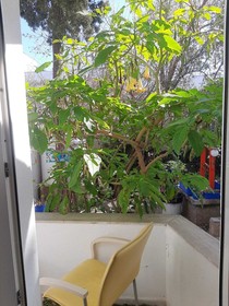 Ali’s Hotel Restaurant Beach