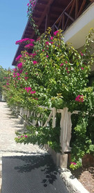 Mausolos Beach Hotel