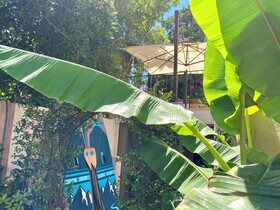 Sezz Hotels Spa Wellness Yalikavak