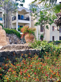 Tilkicik Yali Daireleri