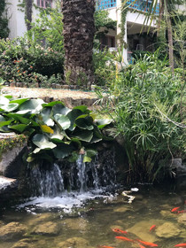 Tilkicik Yali Daireleri