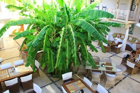 TorbaHan Hotel