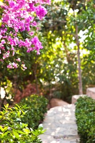 Mare Garden Hotel