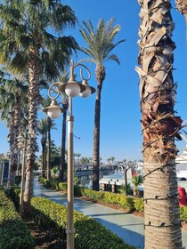 Yalikavak Natural Garden Tiny House