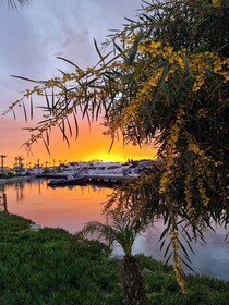 Yalikavak Natural Garden Tiny House