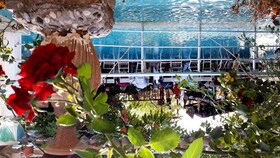 Kapadokya Organik Ciftlik Evi