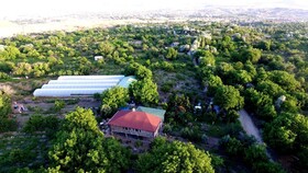 Kapadokya Organik Ciftlik Evi