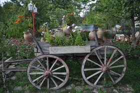 Kapadokya Organik Ciftlik Evi