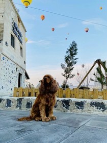 Miracle Cave Hotel
