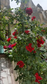 Anatolia Cave Hotel & Pension