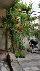 Anatolia Cave Hotel & Pension