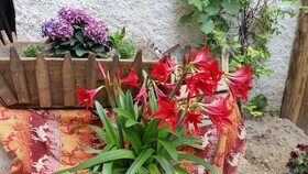 Anatolia Cave Hotel & Pension