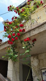 Anatolia Cave Hotel & Pension