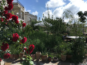 Kemal's Guest House