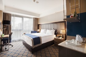 Holiday Inn Kayseri - Düvenönü