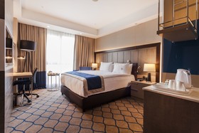 Holiday Inn Kayseri - Düvenönü